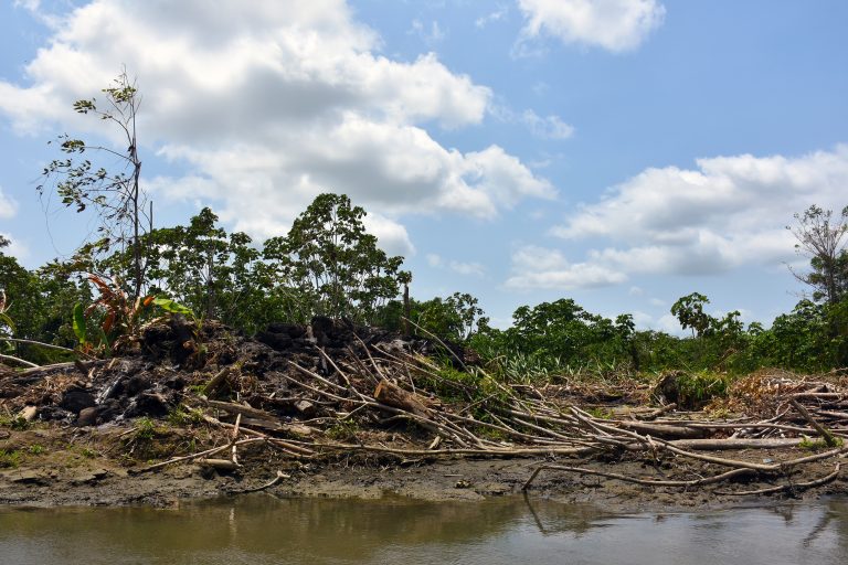 Nature trapped in Lower Atrato’s rainforests and wetlands