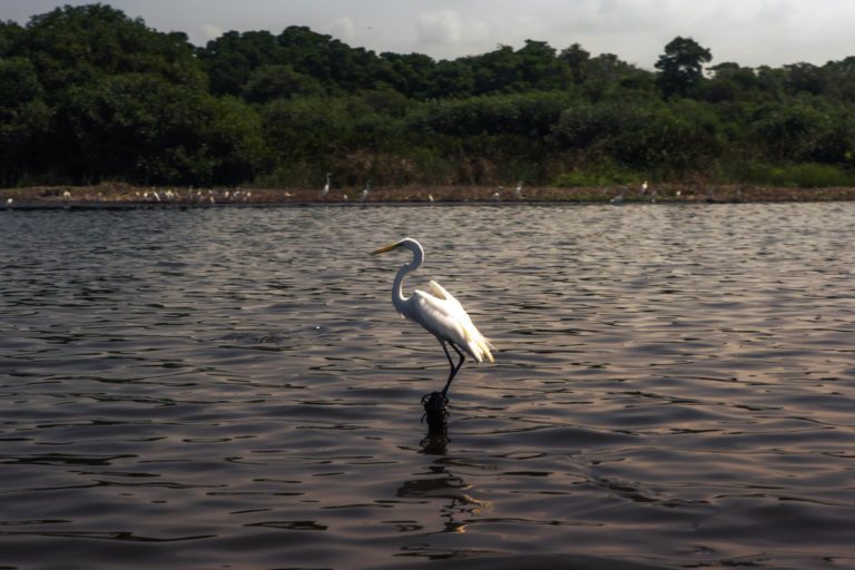 Estrategias de dilación y campañas de desinformación: ¿Qué hay detrás del mal ambiente para el Acuerdo?